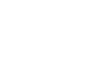 Bit Bot Media logo