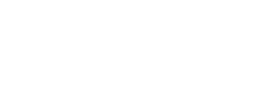 Thief