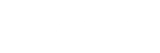 Thief